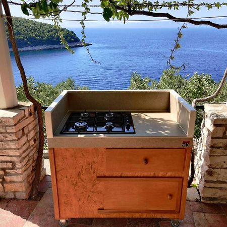 Unique Seaside Villa With Pool Vela Luka Eksteriør billede