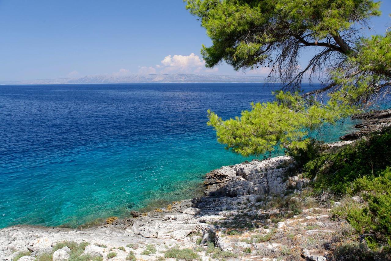 Unique Seaside Villa With Pool Vela Luka Eksteriør billede